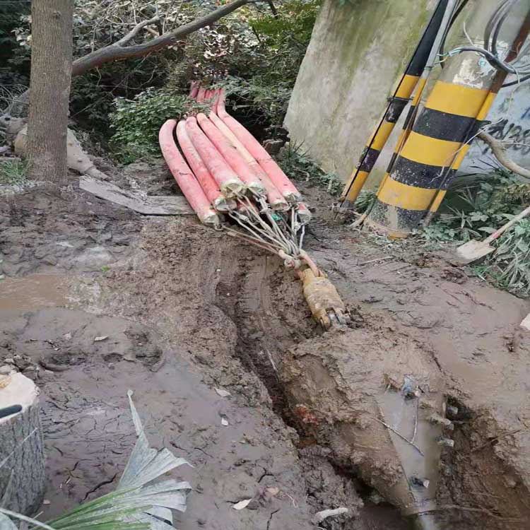 日照武汉电动拖拉管